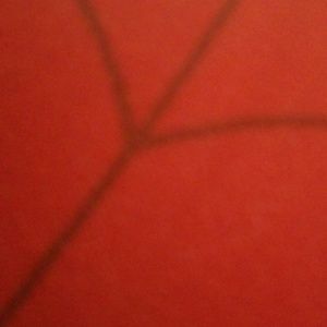 Meet your Posher, Gabrielle